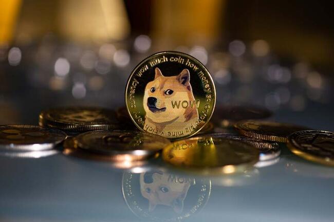 Convert 1 DOGE to IDR - Dogecoin price in IDR | CoinCodex