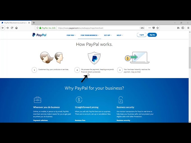 PayPal Payment Status - Mason Adventures