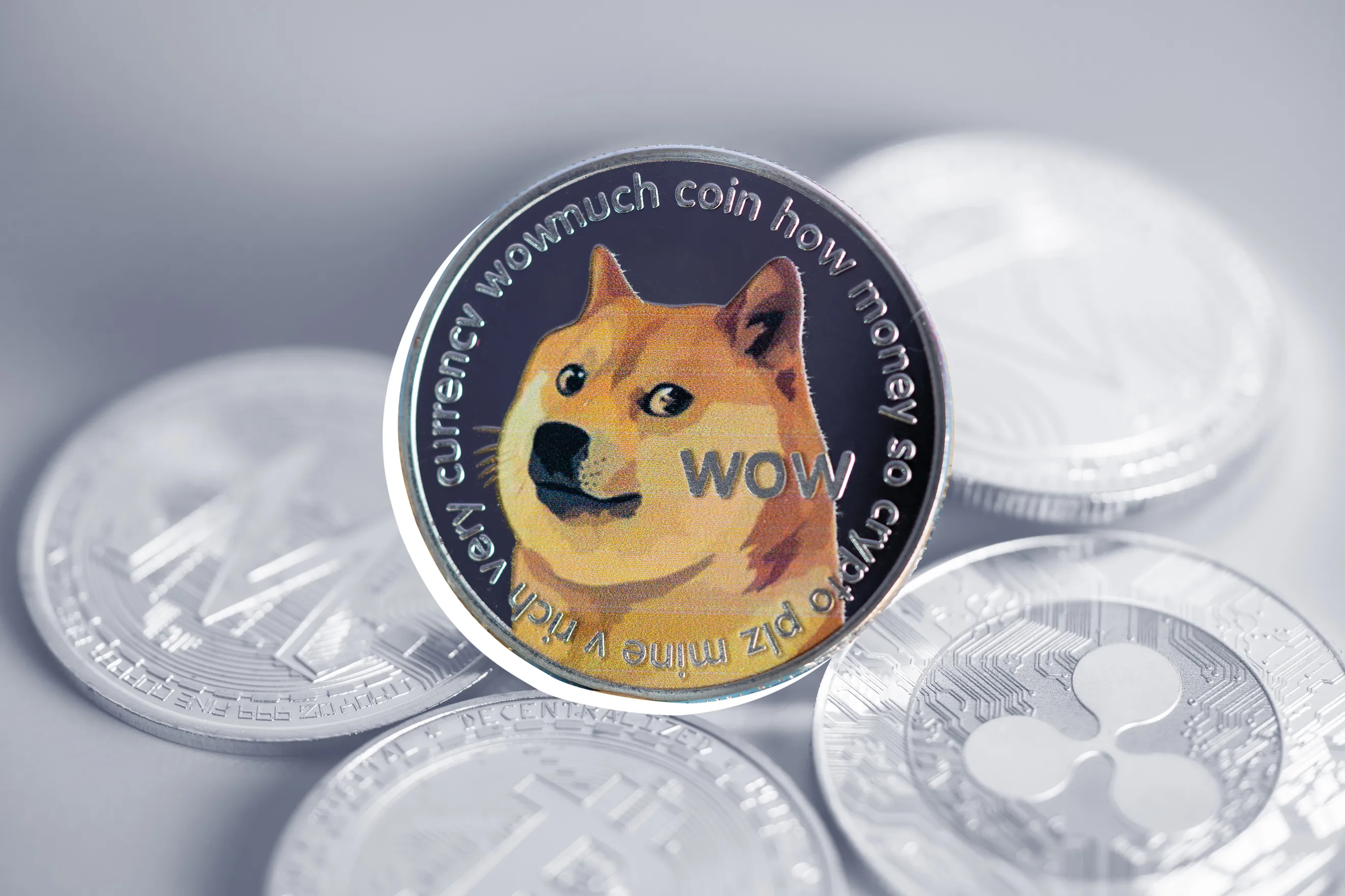 Dogecoin Wallet - Zengo