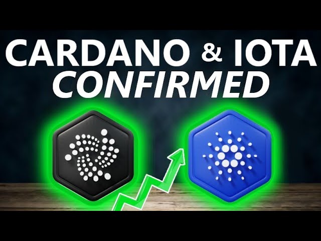IOTA Cofounder: Exciting Cardano Collaboration Plans in Works