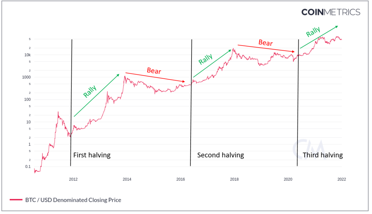 The Most Important Bear Market in Crypto History