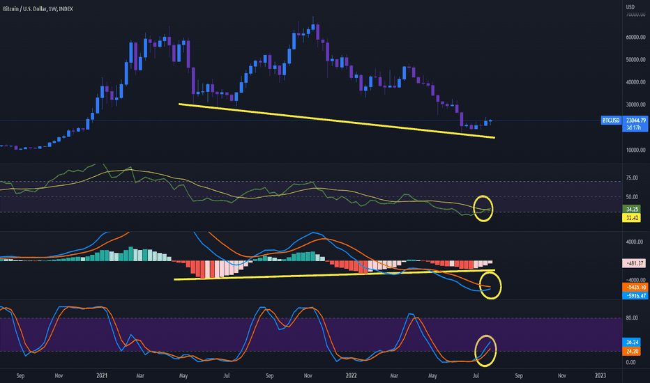 Crypto Trading Stochastic Oscillators and Price Momentum - CoinDesk