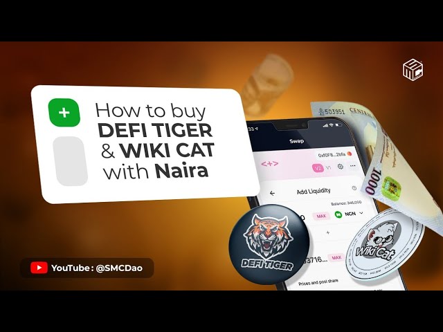 1 CAT to NGN, How Much Is 1 Cat Token in Nigerian Naira