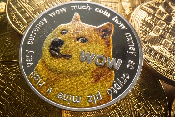 Dogecoin to Russischer Rubel Conversion | DOGE to RUB Exchange Rate Calculator | Markets Insider