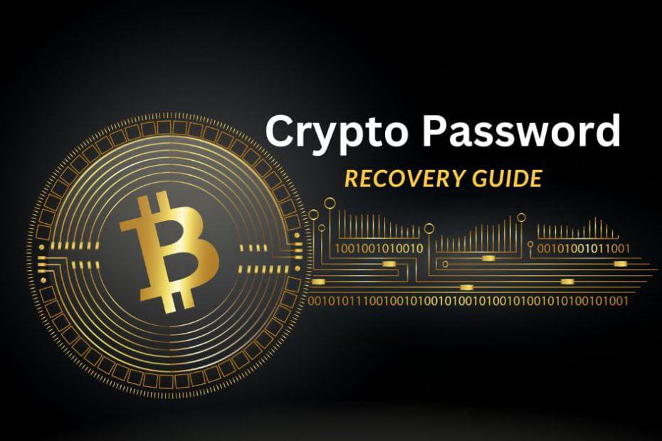 Bitcoin password recovery tool by Thegrideon Software