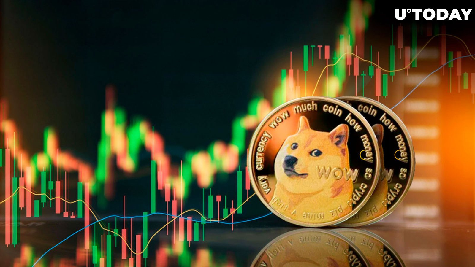 Dogecoin price live today (12 Mar ) - Why Dogecoin price is up by % today | ET Markets