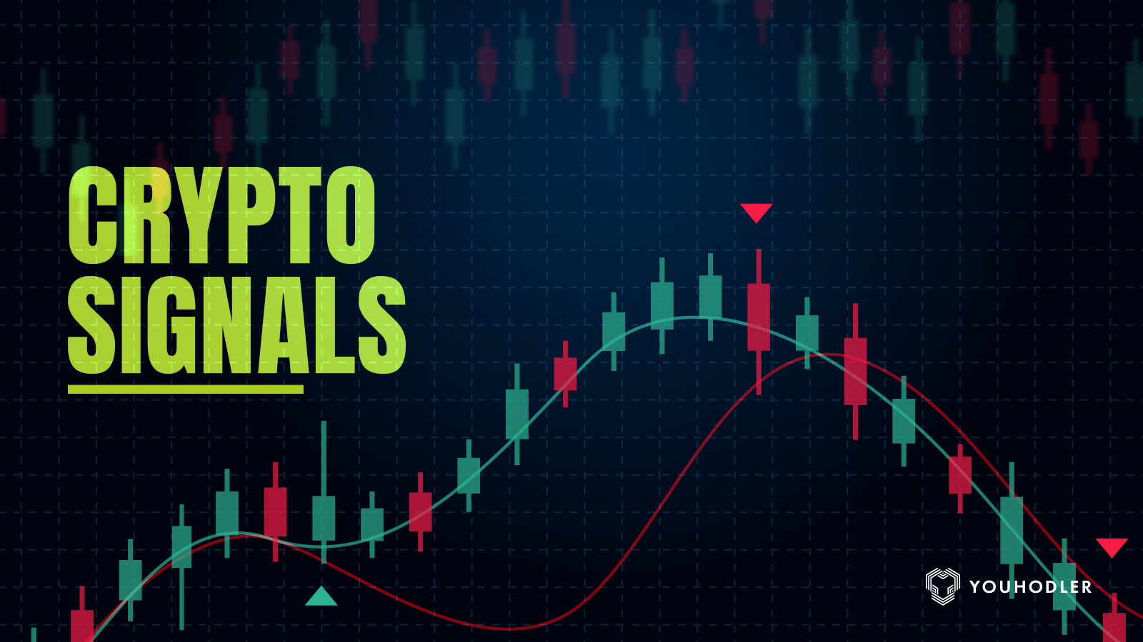 Top 3 best crypto trading signals in • coinlog.fun