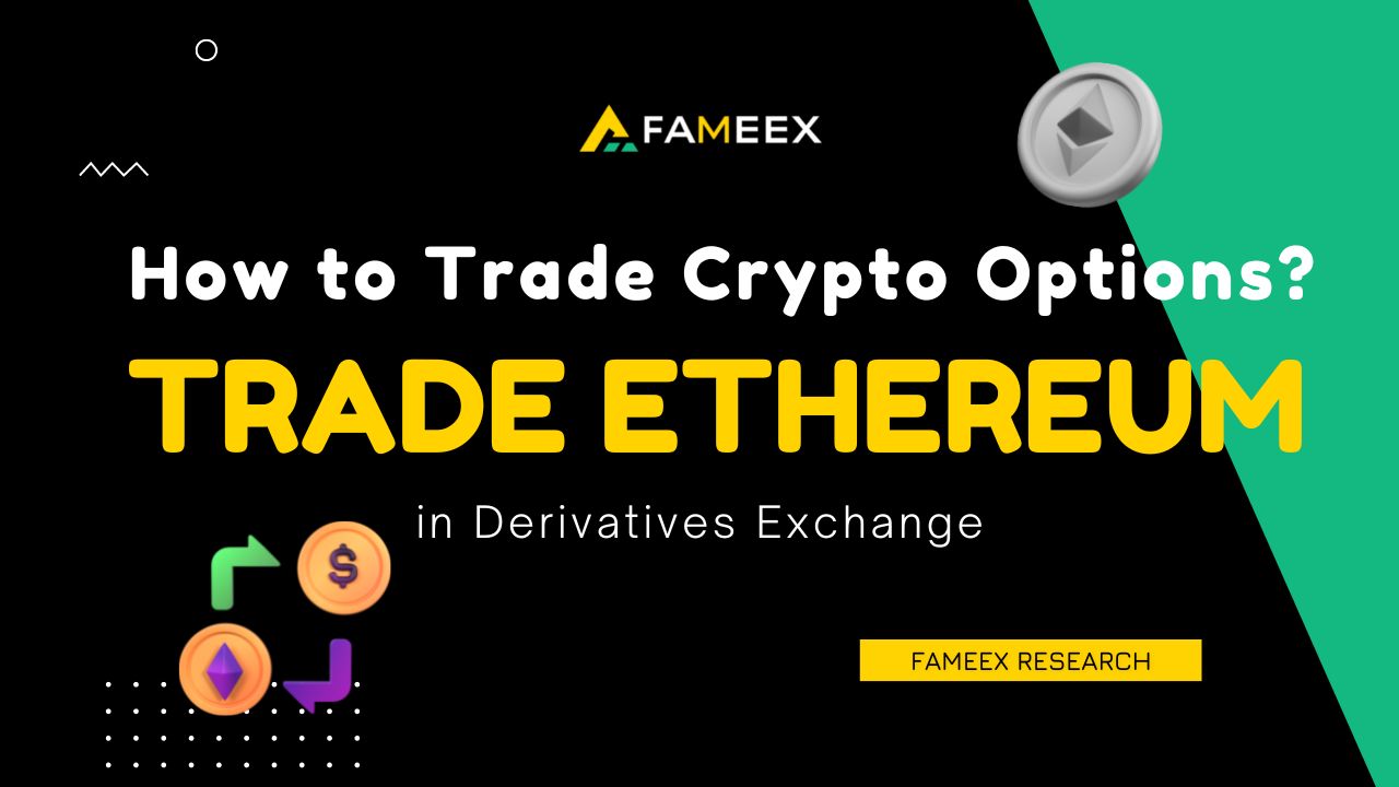 8 Best Crypto Options Trading Platforms in | CoinCodex