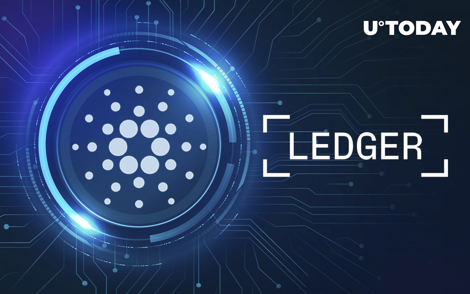 Ledger Expands Cardano Support: Manage Native Tokens with Ledger Live | Ledger