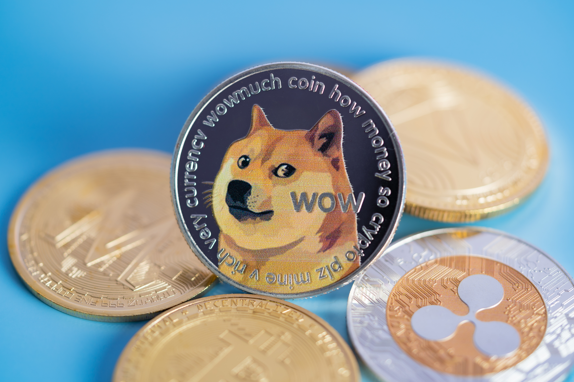 Is Dogecoin a Good Investment in ? | ecoinomy