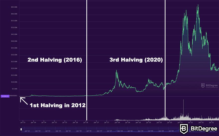 Bitcoin Halving Date, Countdown, and How Does it Affect BTC Price | coinlog.fun