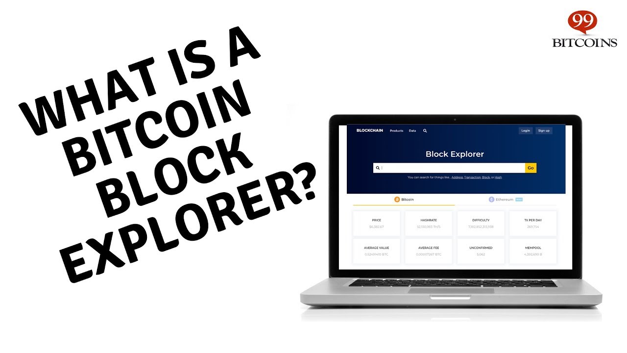 Bitcoin Explorer - coinlog.fun