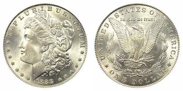 Morgan Silver Dollar Value | Discover Their Worth