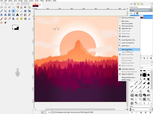 Do you use GIMP or Krita? Why? | Trisquel GNU/Linux - ¡Va por libre!