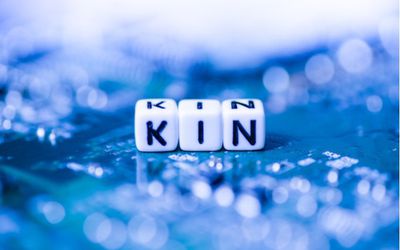 Kin: What It Was, How It Worked, and Future