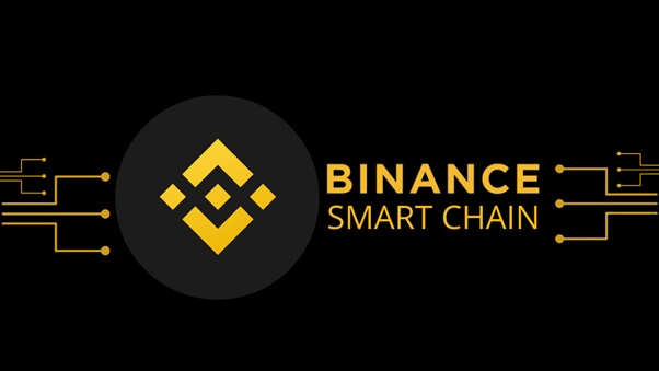 Binance Smart Chain Wallet (BNB) | Coin Wallet