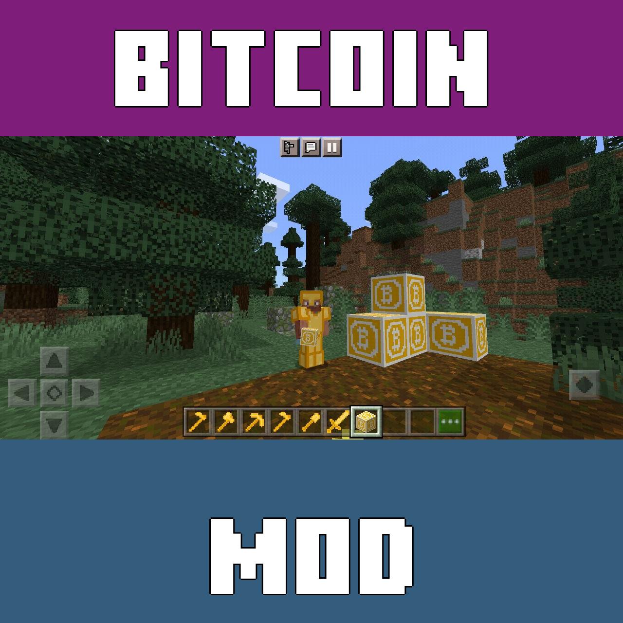 Bitcoin Mod for Minecraft | Minecraft, Minecraft forge, Minecraft games