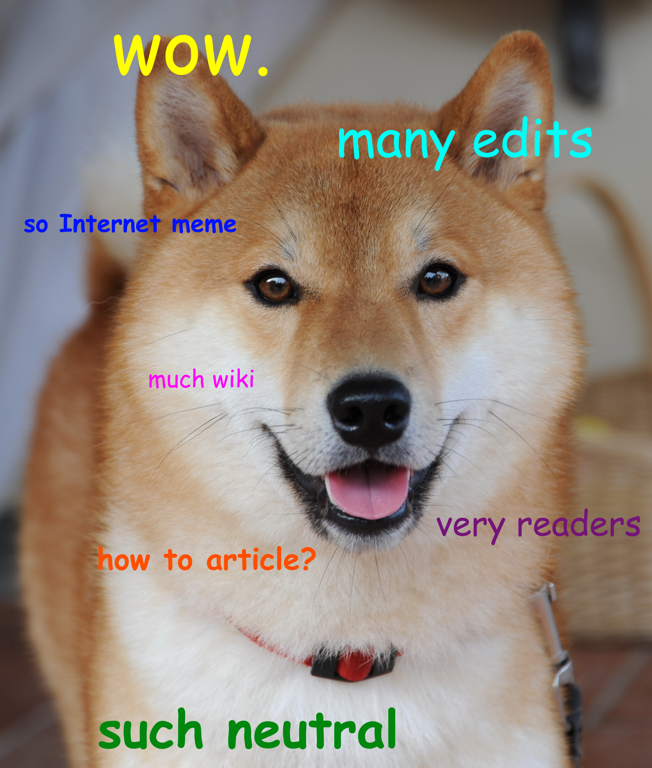 What is Doge? | Internet | The Guardian
