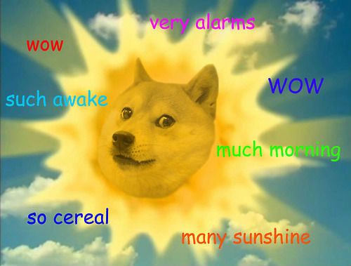 Doge Much Wow | Parallel Universe of Doge 🐕