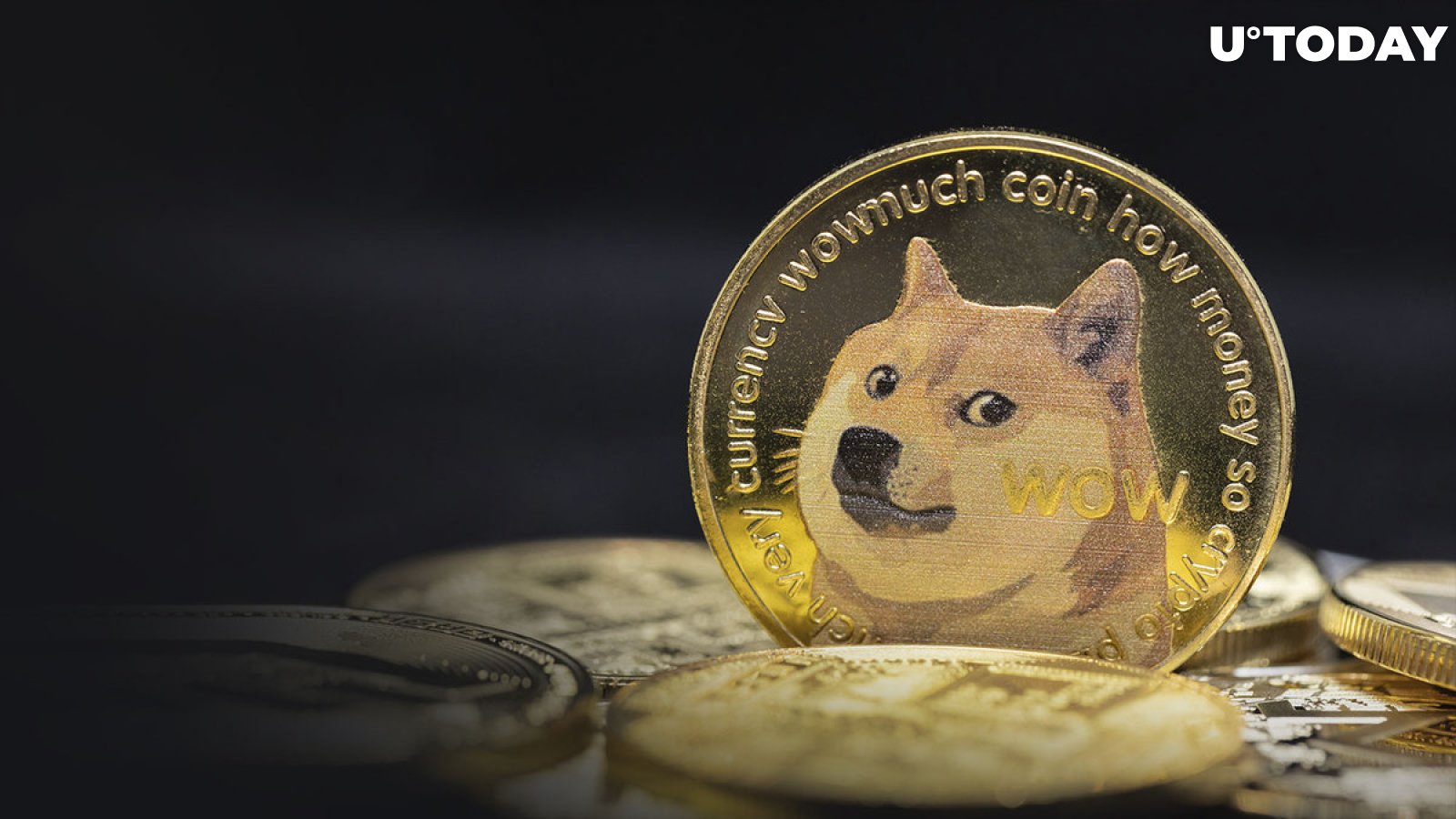 Dogecoin Airdrop » Claim free DOGE tokens (~ $10)