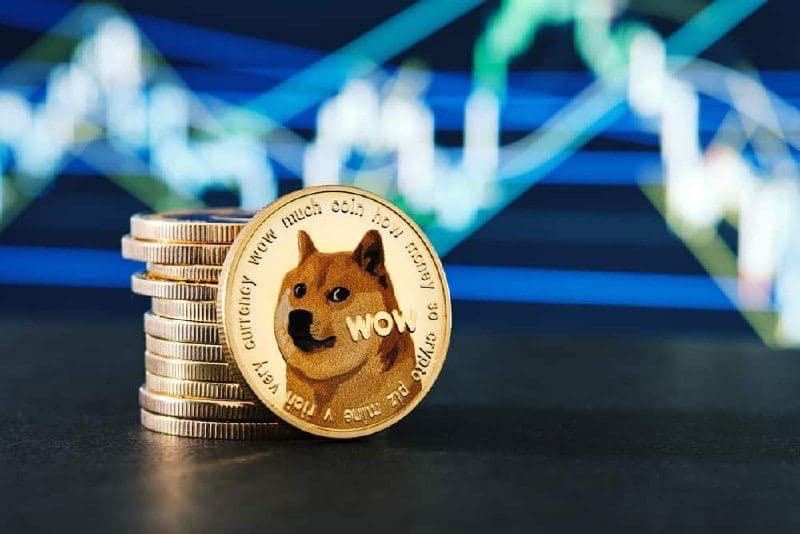 1 DOGE to NGN - Dogecoins to Nigerian Nairas Exchange Rate