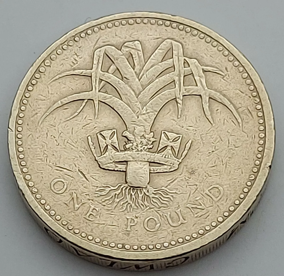 1 Pound - Elizabeth II (3rd portrait; Welsh Leek) - United Kingdom – Numista