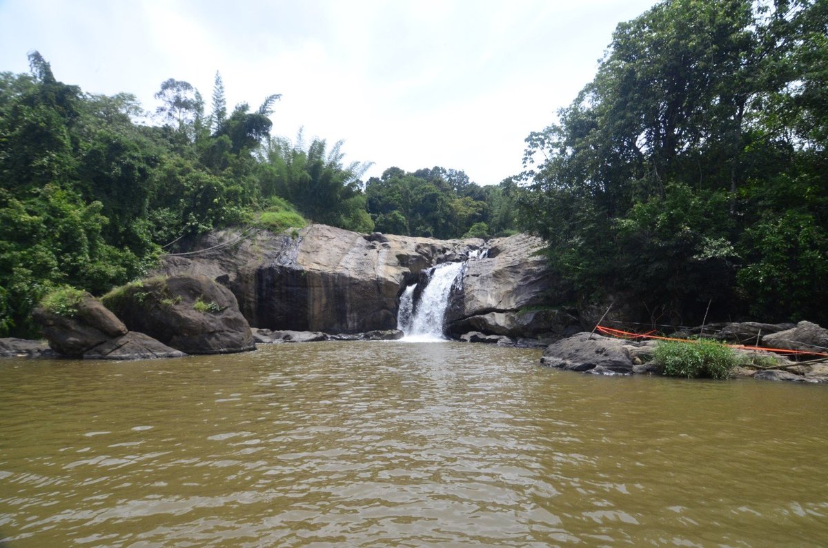 Zipline in Munnar - Today’s offer Rs ( 36 % off)