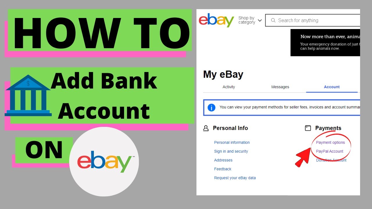 eBay Payment Methods | PayPal UK