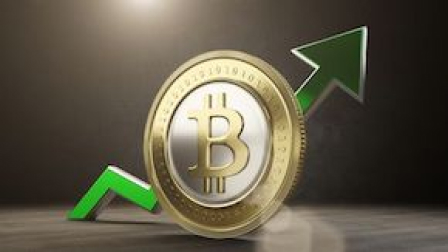 Precio, gráficos, capitalización de mercado de Bitcoin Cash (BCH) | CoinMarketCap