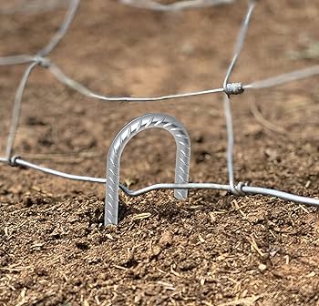 How to Dog Proof Your Chain Link Fence with Tent Stakes [VIDEO]