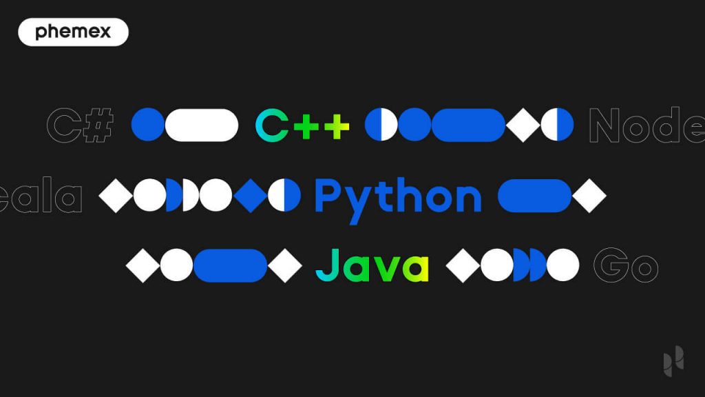 9 Best Programming Languages for Blockchain Development