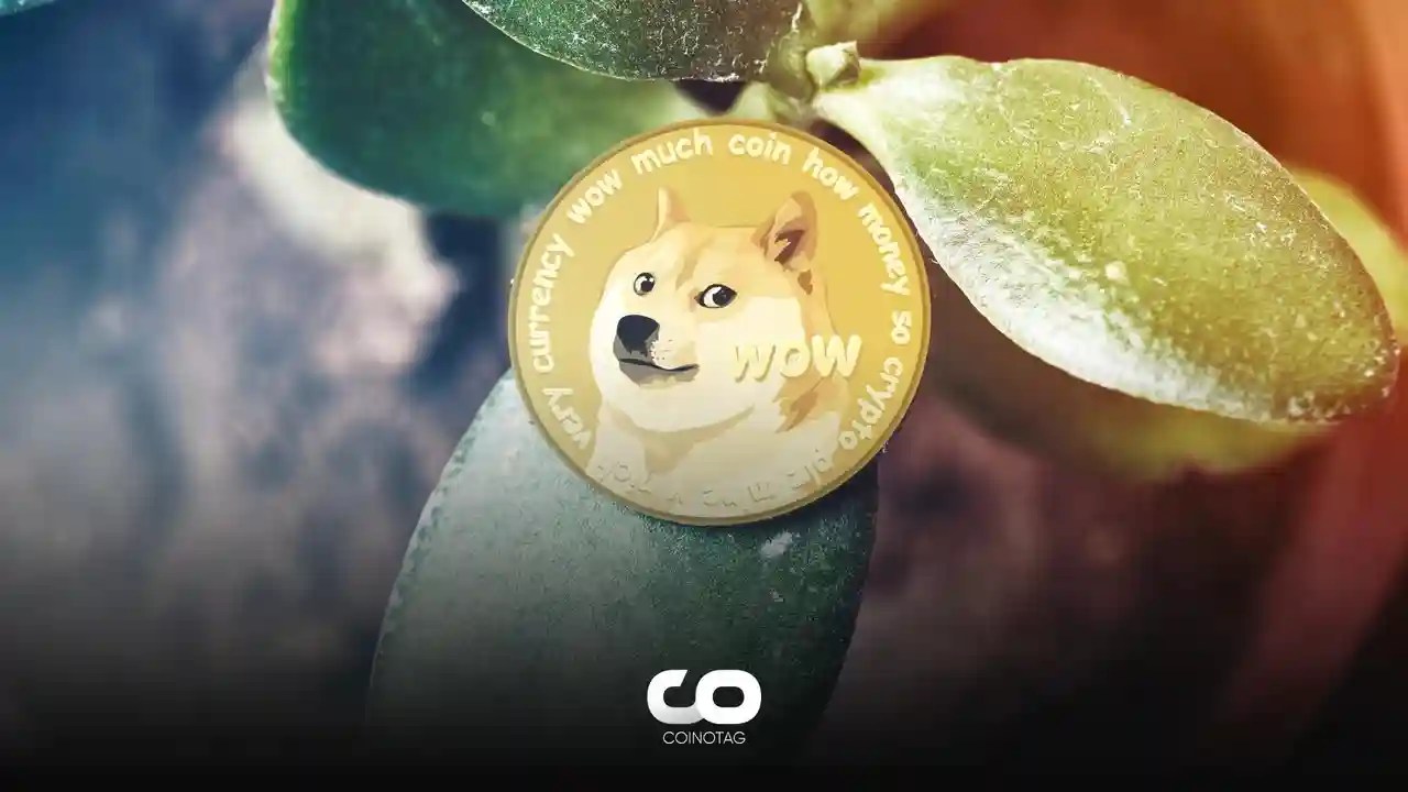 Dogecoin Price Prediction: , , , - 