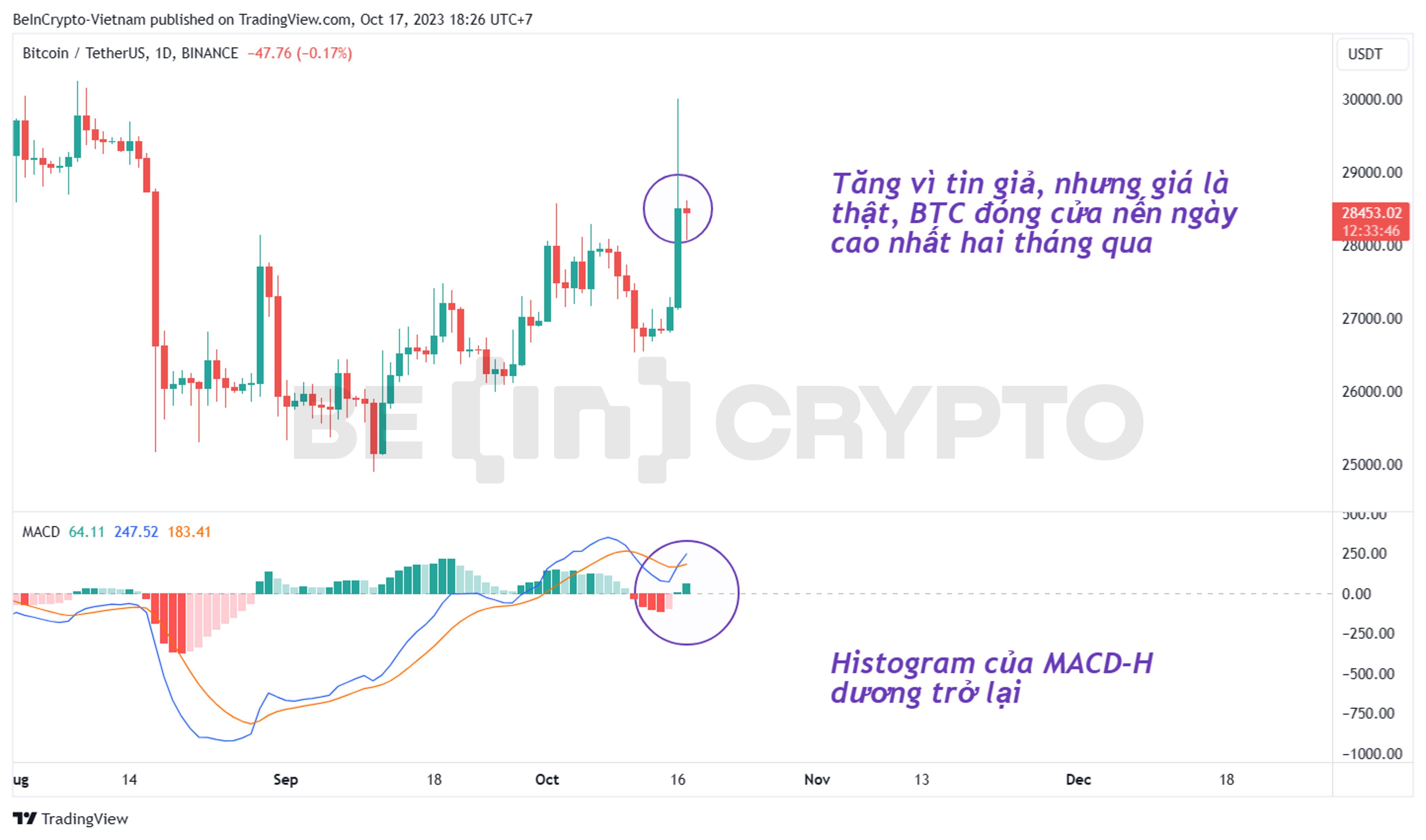 Key Reasons Why Bitcoin Price Is Pumping Today