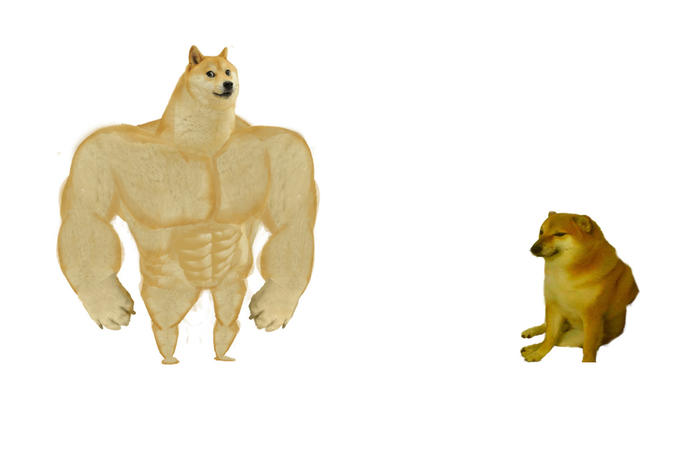 Buff Doge Vs Doge Vs Cheems Meme Generator - Imgflip