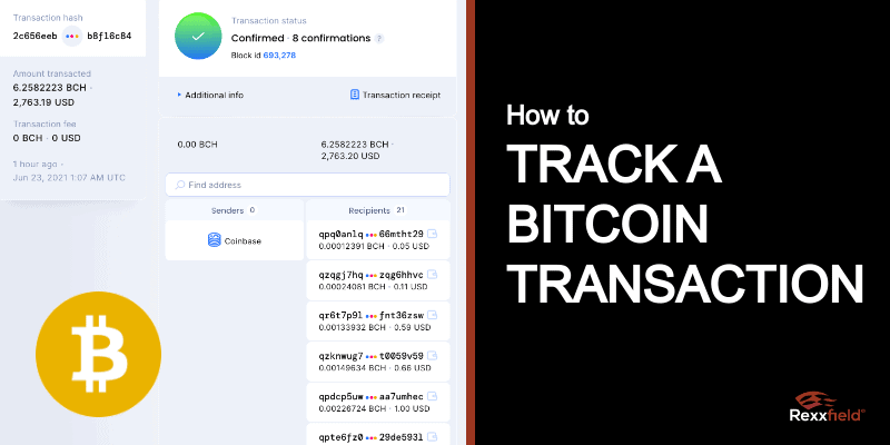 Check Bitcoin Wallet Address Balance - Online Tool | BitRef