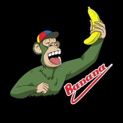 ApeSwap Price Today (USD) | BANANA Price, Charts & News | coinlog.fun