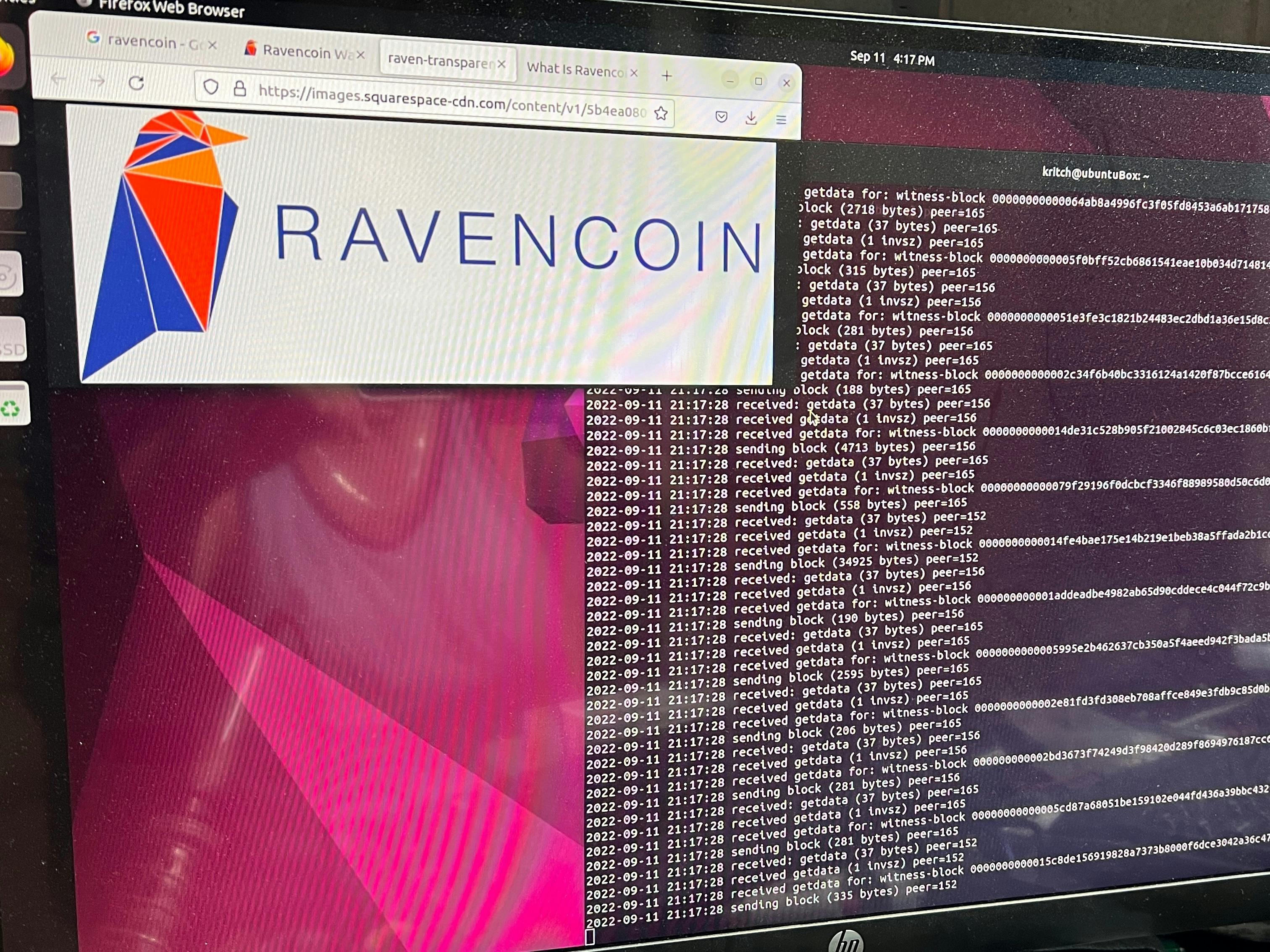 AUR (en) - electrum-ravencoin-appimage