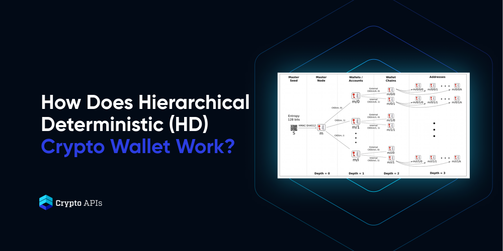 Hierarchical Deterministic (HD) Wallet: Meaning in Cryptocurrency