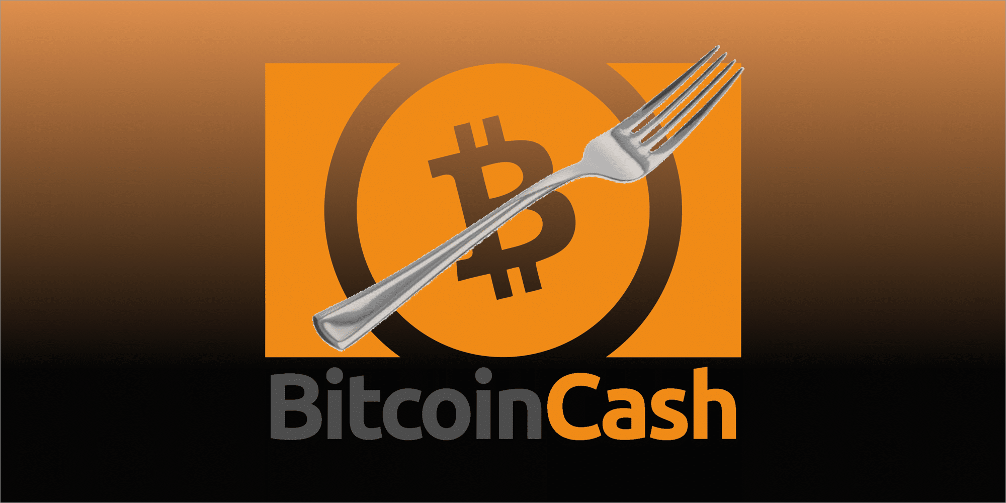 The Upcoming Bitcoin Cash Hard Fork : What You Need to Know?