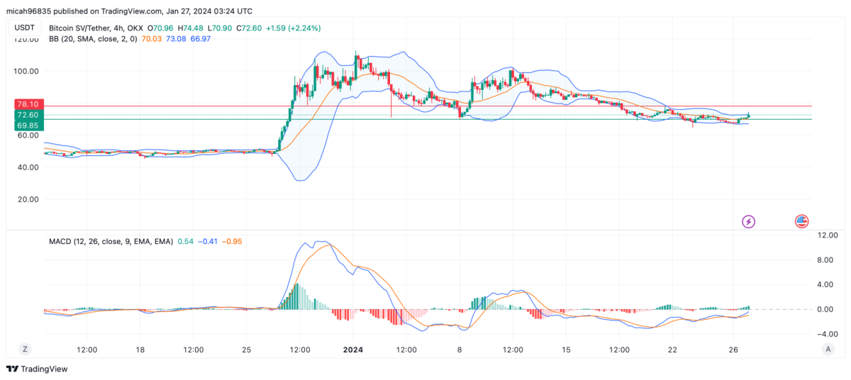 What is Bitcoin SV Valuation Today? coinlog.fun - Macroaxis