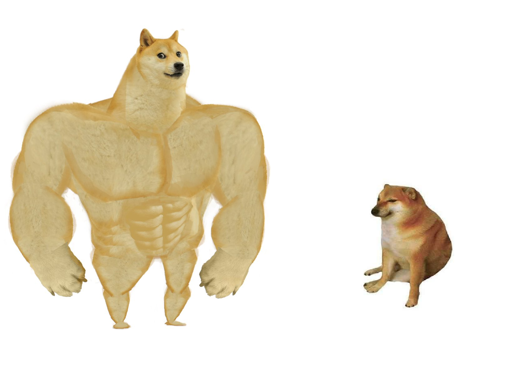 Buff Doge vs. Cheems Blank Meme Template - Imgflip