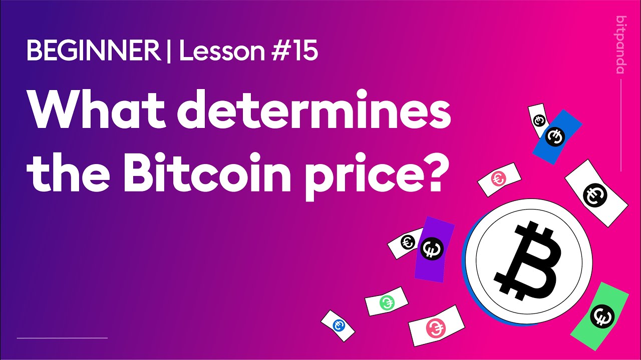 What Determines Bitcoin's Price?