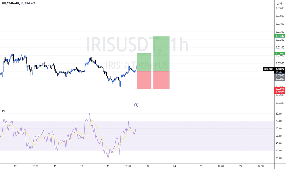 IRISnet (IRIS) Token Analytics | Binance (BNB) Smart Chain Mainnet | Bitquery