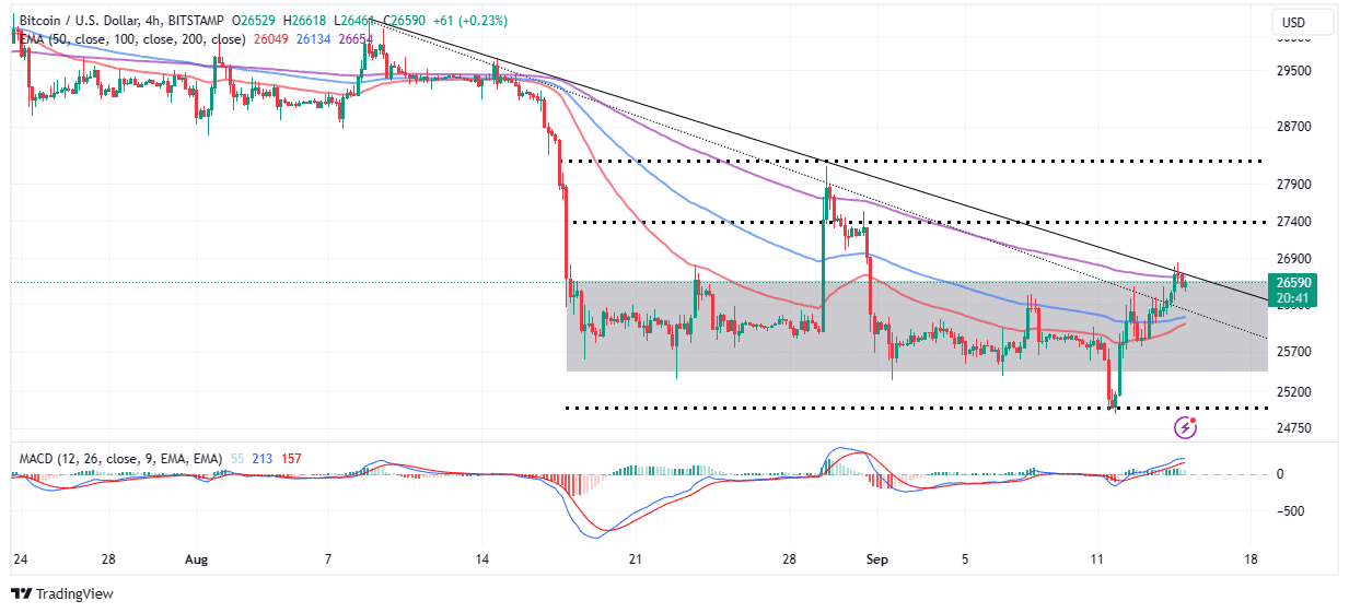 Bitcoin to Euro or convert BTC to EUR