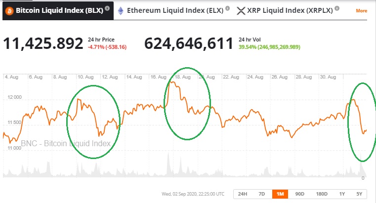 Guide to Shorting Bitcoins | TransitNet