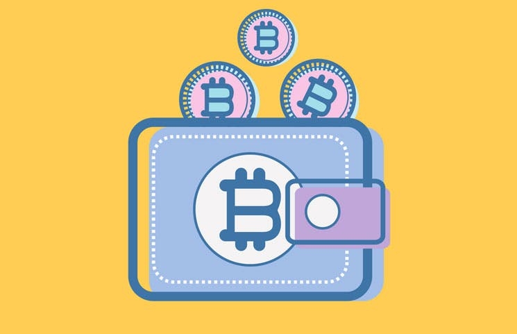 The Top 5 Safest Bitcoin Wallets for Beginners