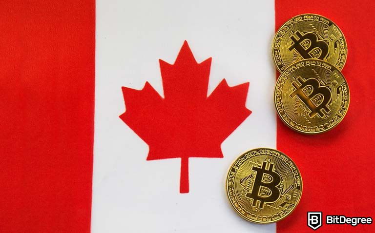 Convert Canadian Dollar to Bitcoin | CAD to BTC currency converter - Valuta EX