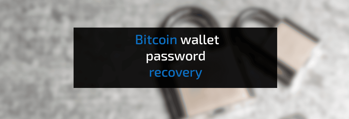 Crypto Wallet Password Recovery: How To Find Crypto Wallet Address Password