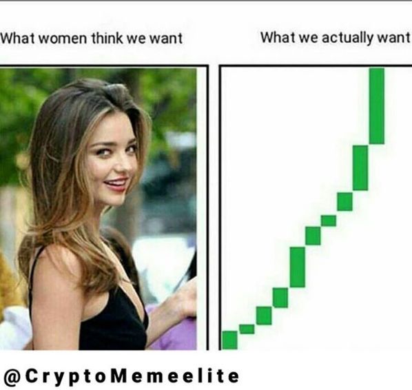 Top 30 Crypto Memes. Edition | The CryptoJobsList Blog