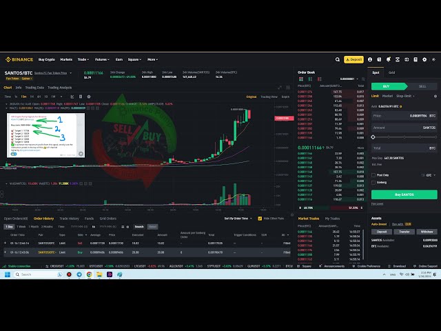 55 Crypto Pump Signals Telegram Group Links | Pump & Dump